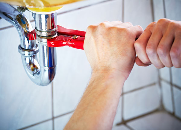 About Beech Bluff Plumbers